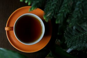 Elevați-vă starea de bine: Explorarea ceaiului de kombucha de tavan